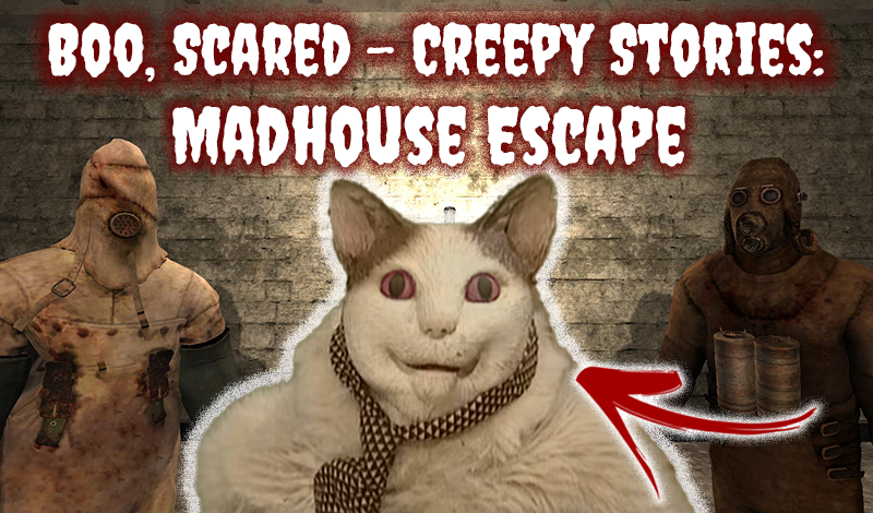 Boo, Scared - Creepy Stories: Madhouse Escape game cover