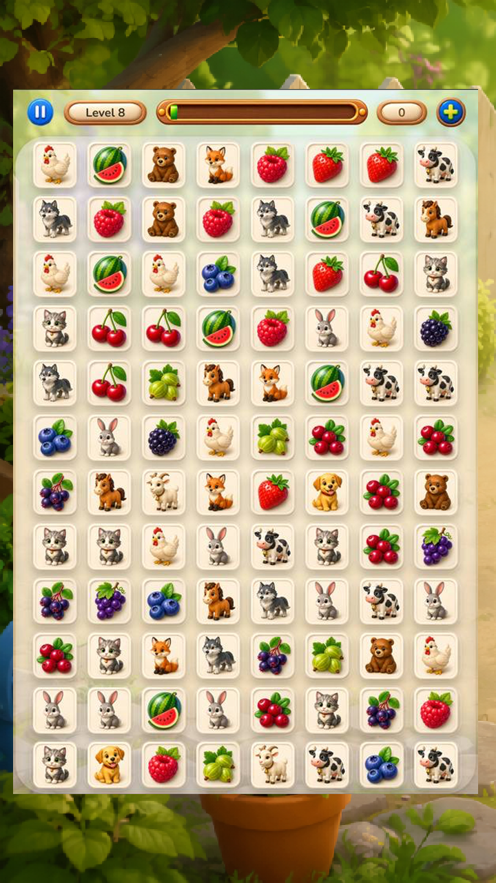 Find and Match the Pair screenshot 3