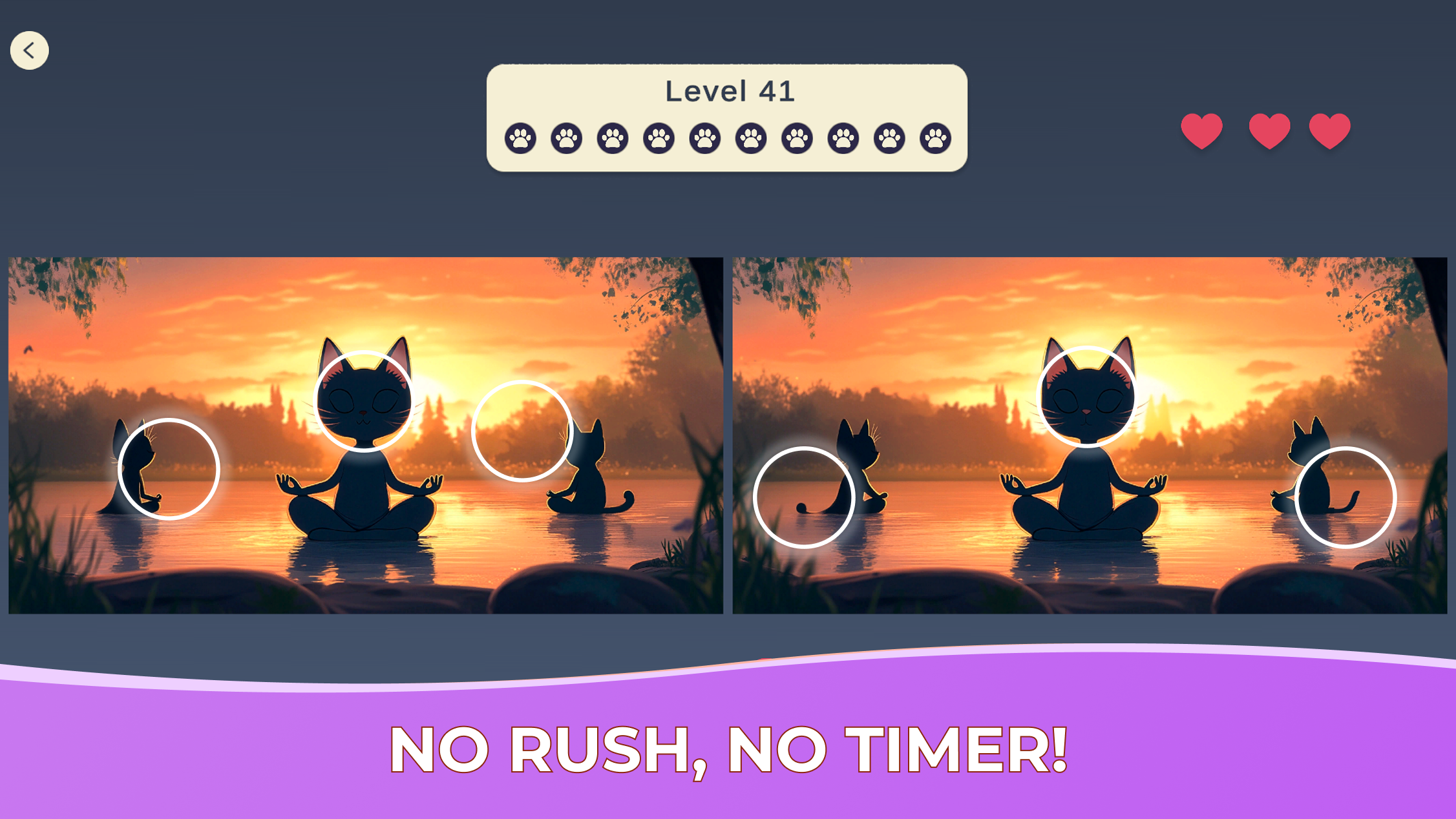 Spot the Difference: Cozy Cats screenshot