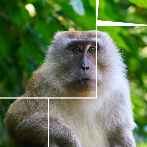 Picture Puzzle Animals icon