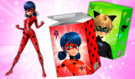 LadyBug Unboxing: Surprise Toys