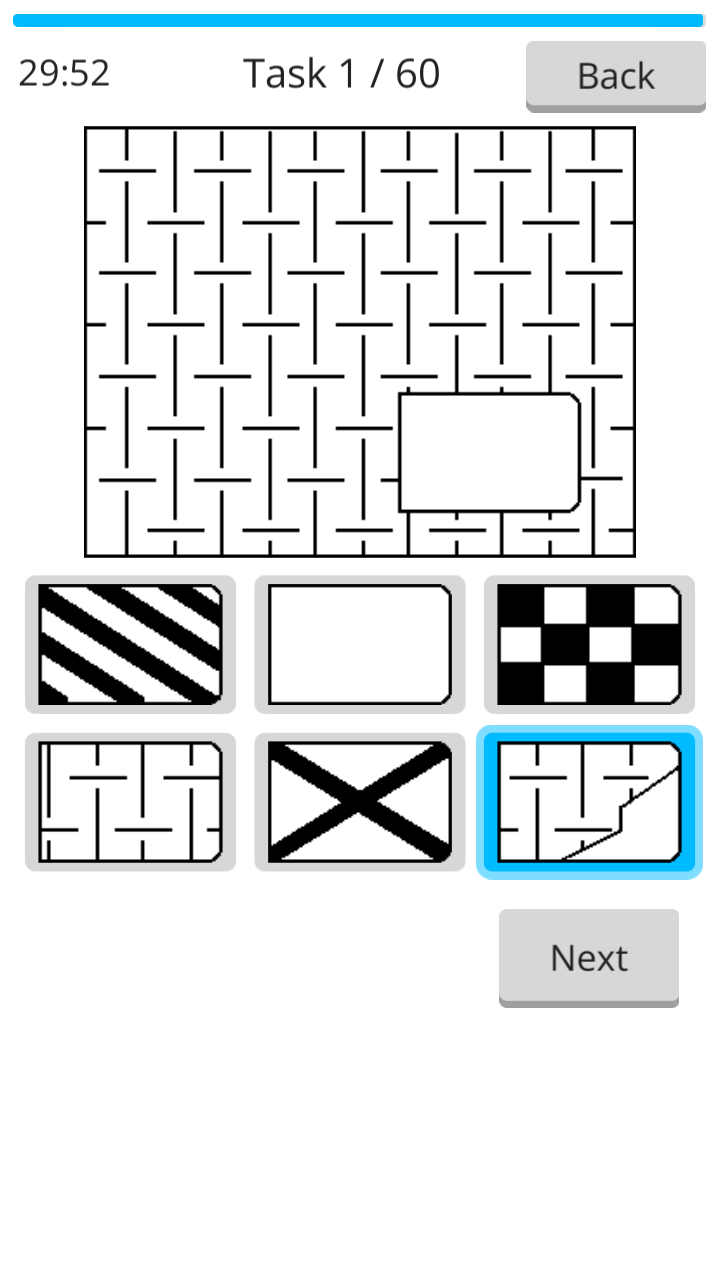 Raven IQ Test screenshot 6
