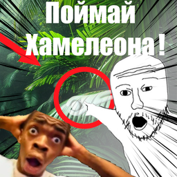 Поймай Хамелеона!