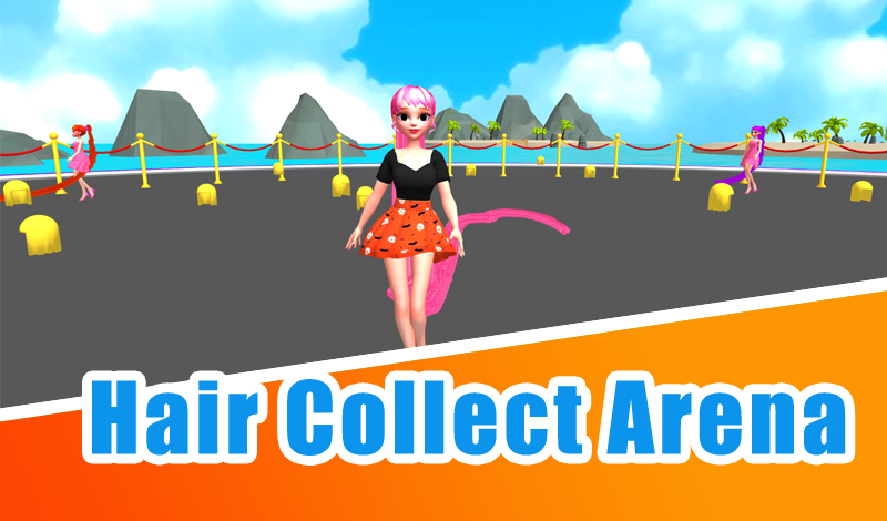 Hair Collect Arena game cover