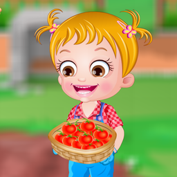 Baby Hazel Tomato Farming