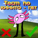 Тест по Кинито-пет