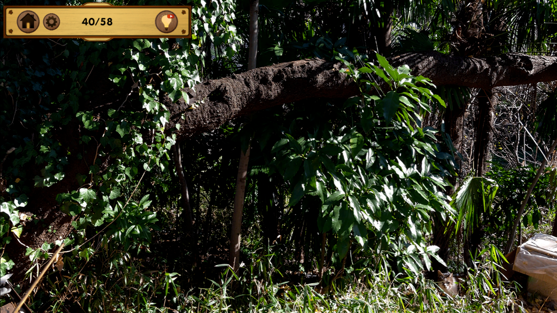 Can you find the cat? — screenshot 7