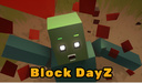 Block DayZ