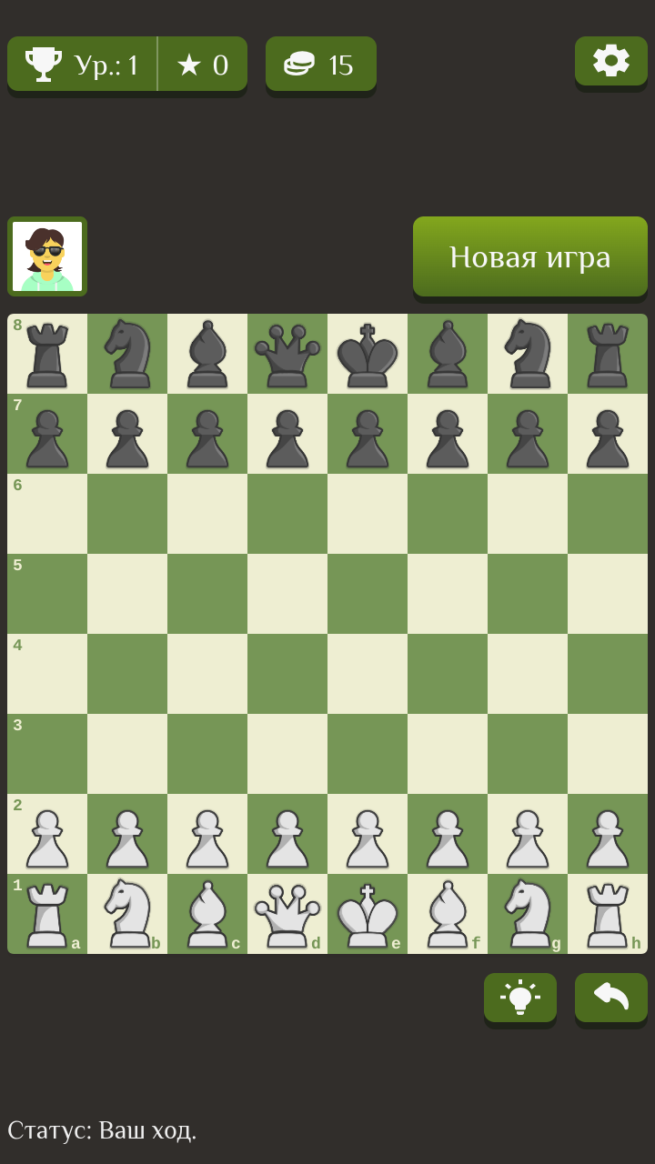 Chess Bot screenshot 9