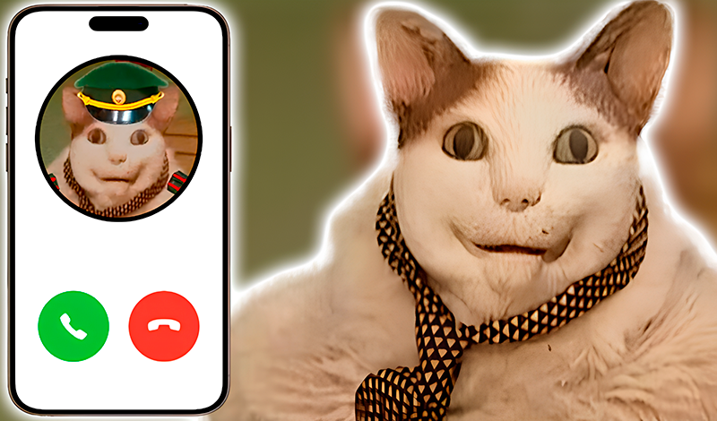 Call Boo Scared! game cover