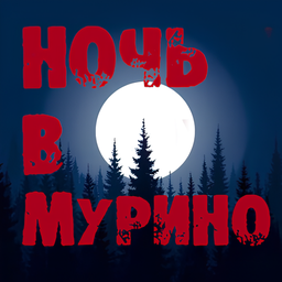 Ночь в Мурино