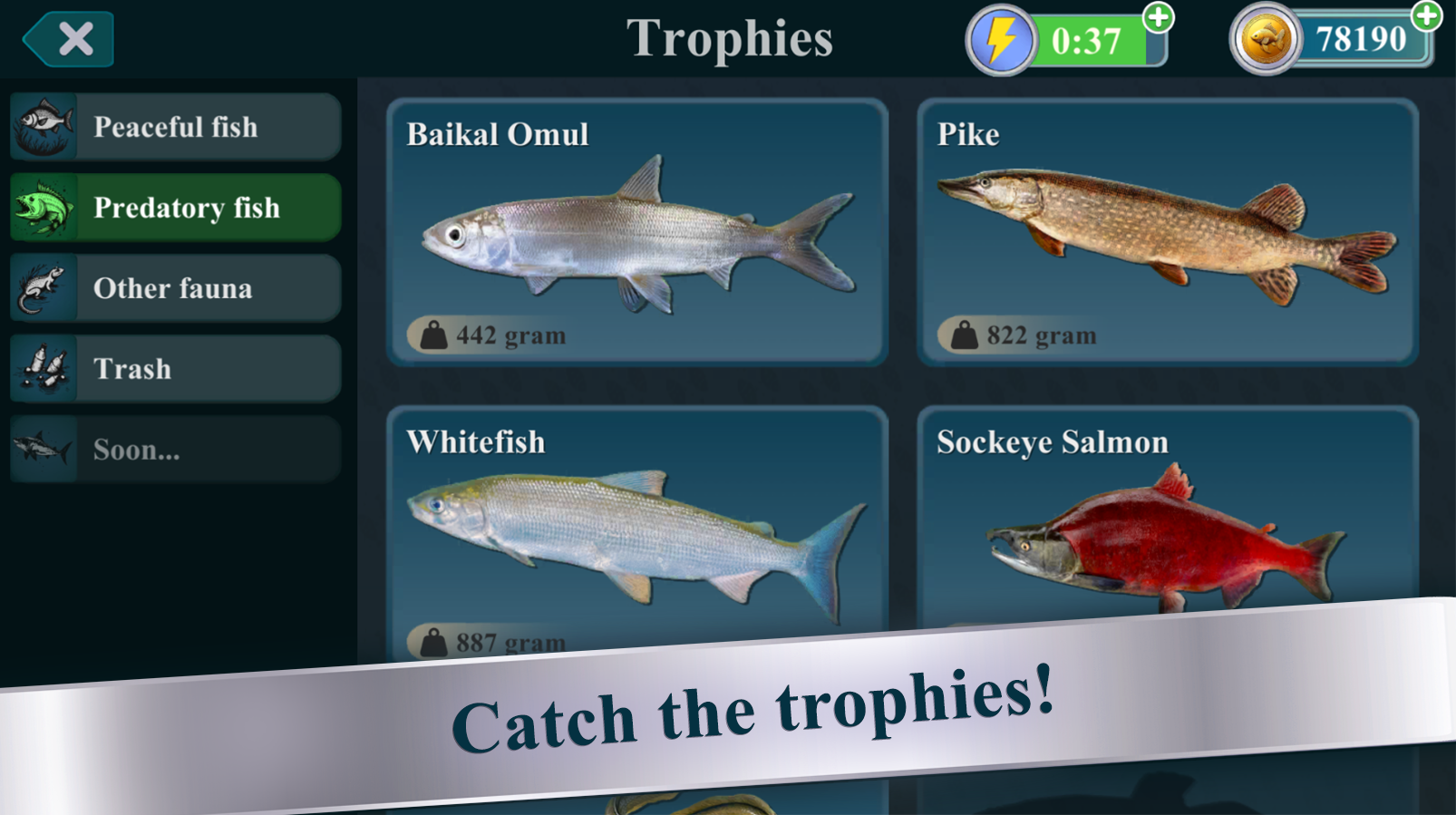Net Fishing screenshot