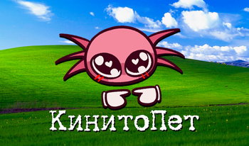 КинитоПет