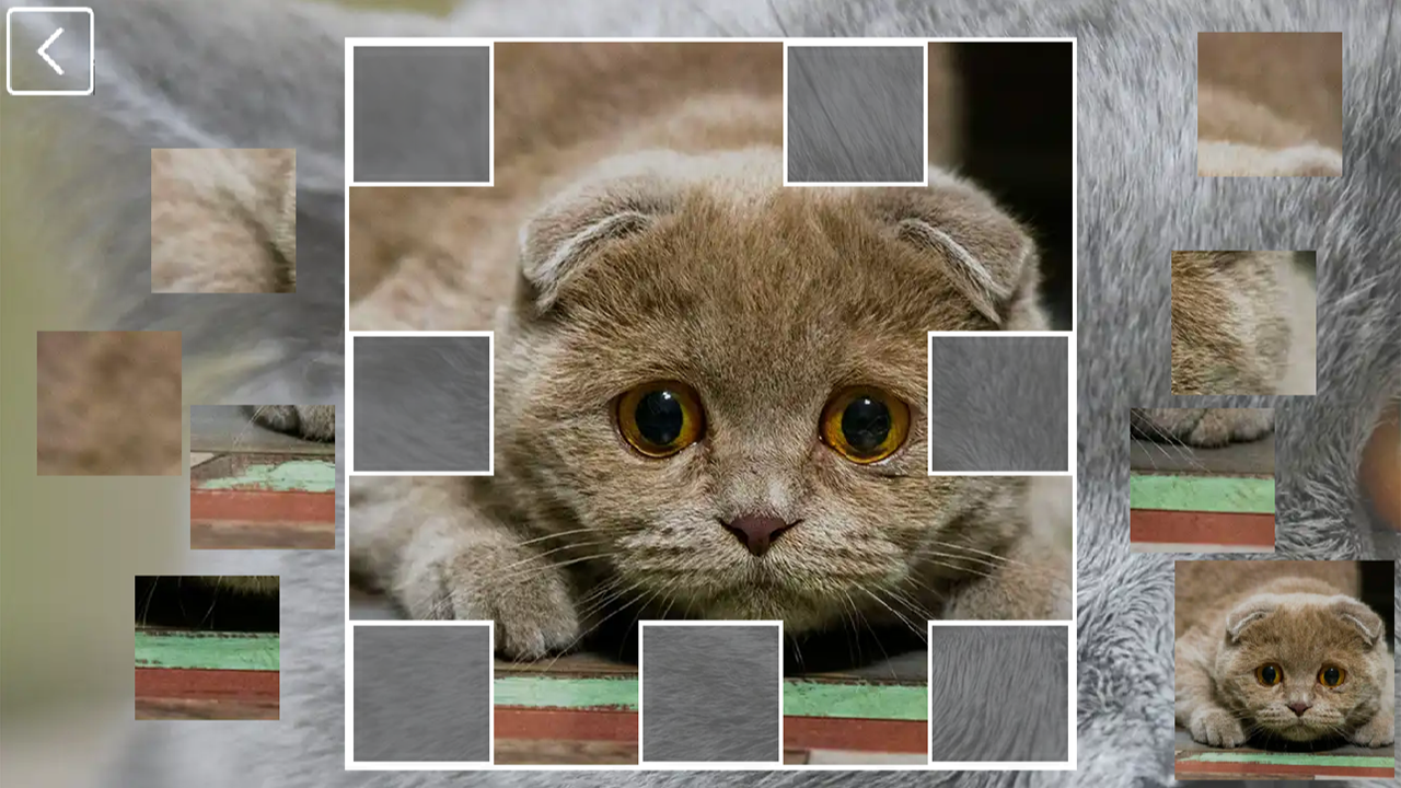 КотоКоллекция: 48 Пород — screenshot 6