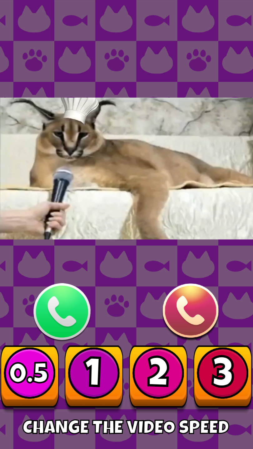 Call Meme Cats screenshot 7
