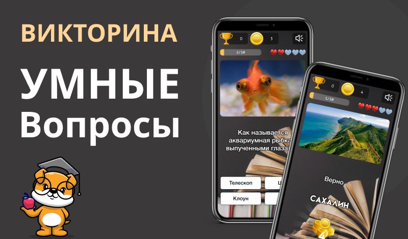 Викторина: Умные Вопросы game cover