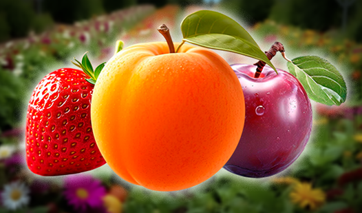 Plant Vegetables: 2048!