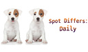 Spot Differs: Daily