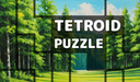 Tetroid Puzzle