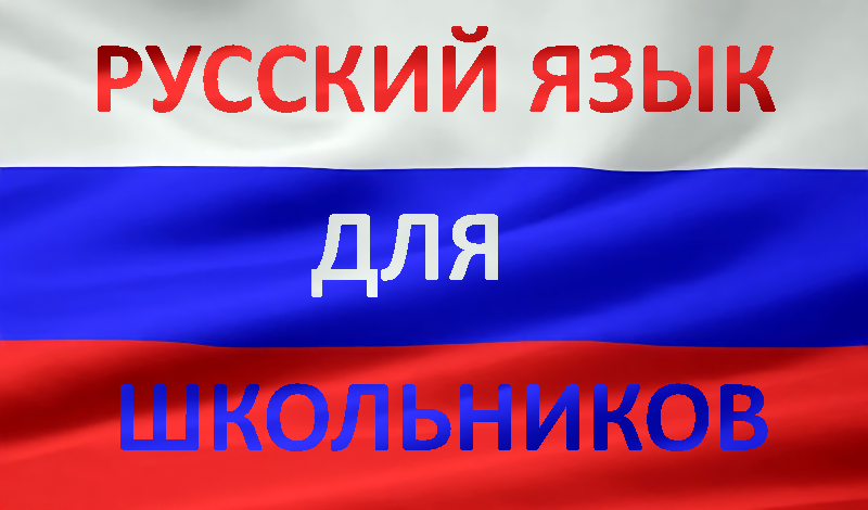 Русский язык для школьников game cover