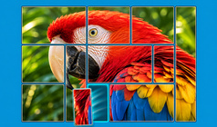 Puzzle Solitaire