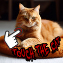 Touch the cat