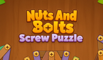 Nuts And Bolts Screw Puzzle