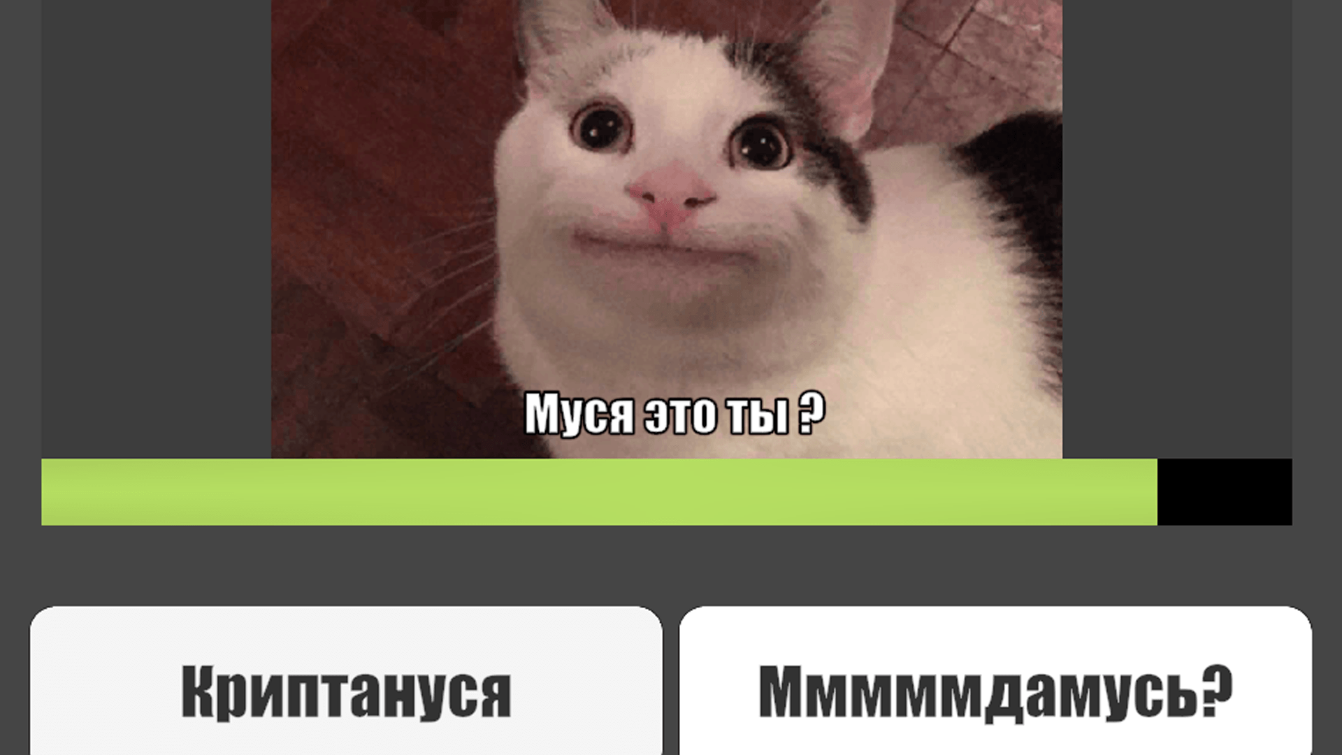 Муся это ты? — screenshot 3