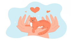 Pet the kitty