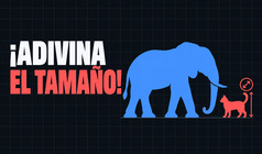 ¡Adivina el tamaño!