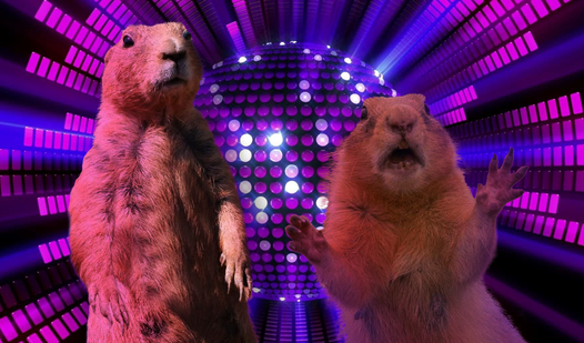 Disco marmot: Clicker