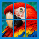 Puzzle Solitaire