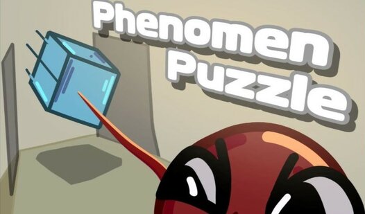 Phenomen Puzzle