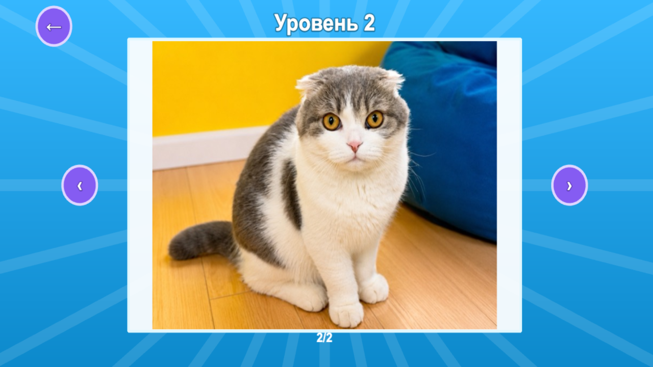 Котомемы: Коты и Мемы пазлы! — screenshot 11