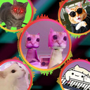 Meme Rhythm Clicker - Сute Songs of Funny Cats!