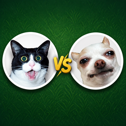 Котики vs Песики
