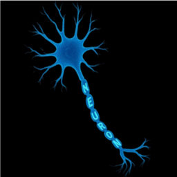 Neuron
