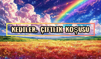 Kediler. Çiftlik koşusu