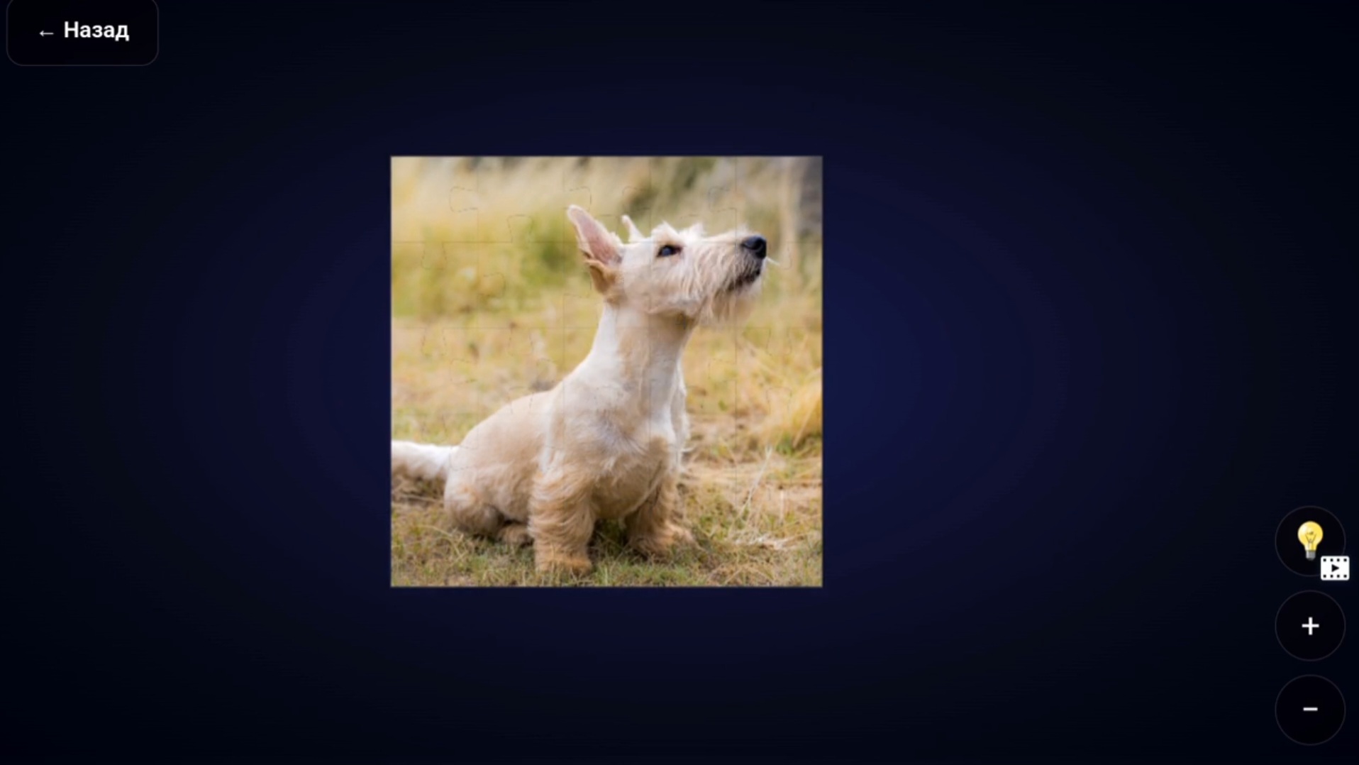 Супер пазлы - собери картинку! — screenshot 4