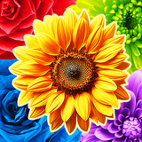 The Flowers: Merge and Sell Bouquets