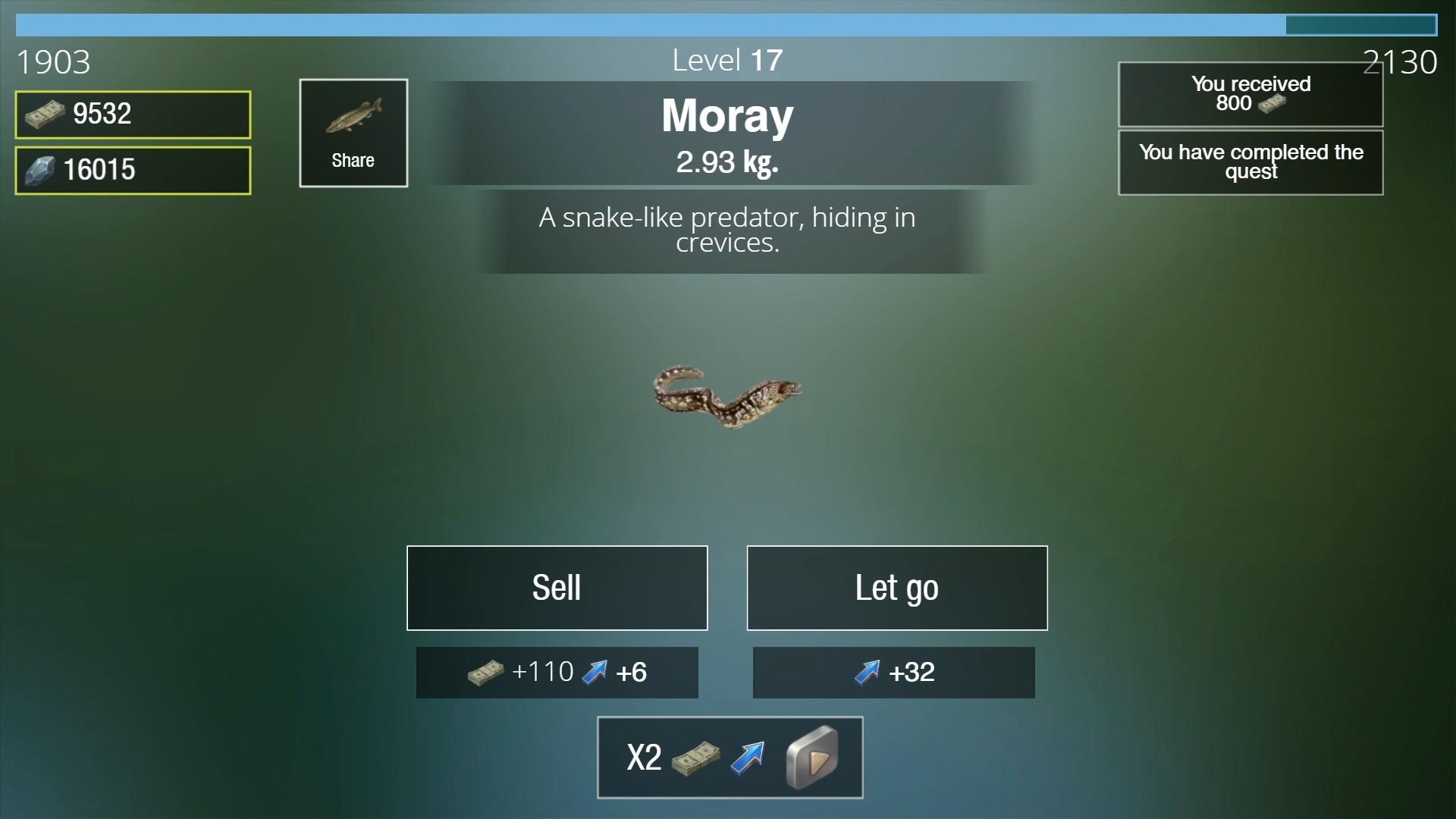 Morning Fishing screenshot