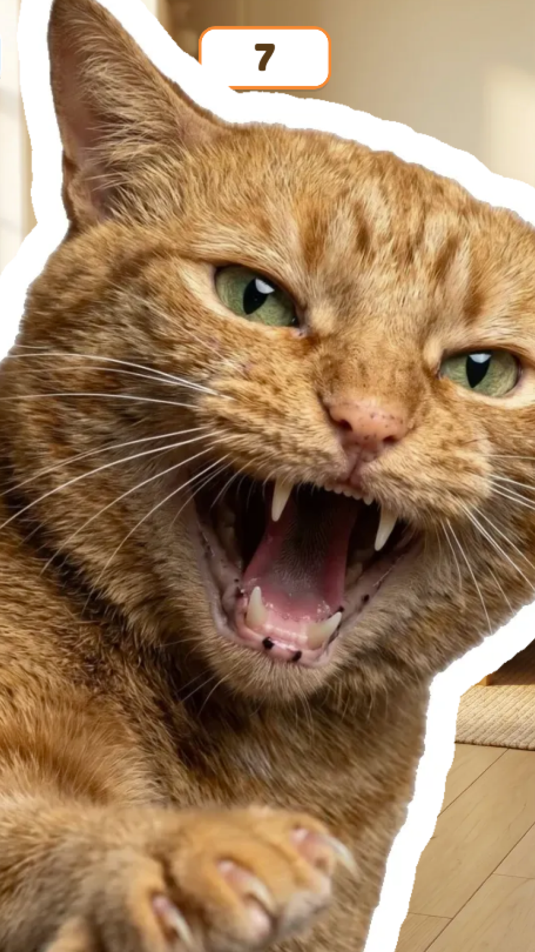 Brush the Cat: dont get scratched! screenshot 4