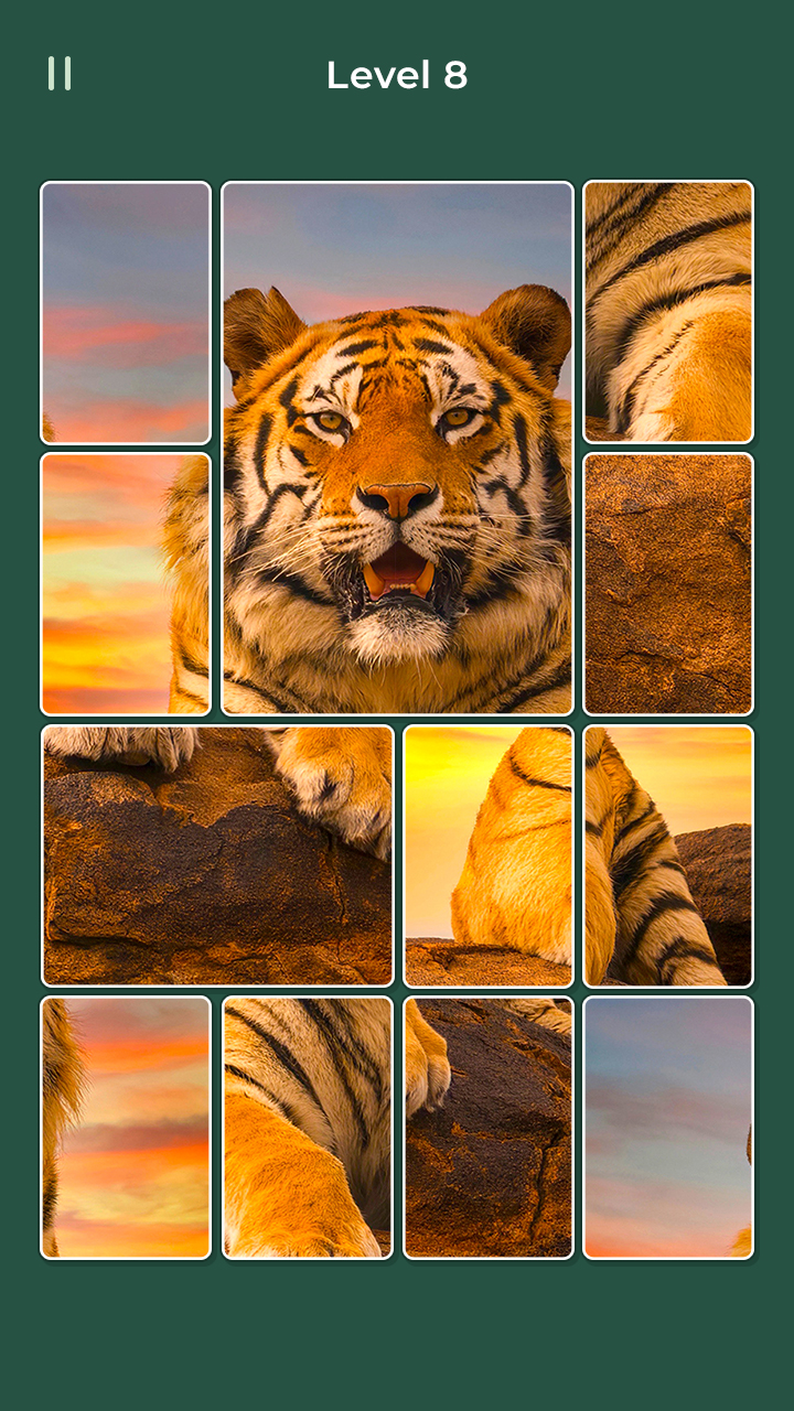 Jigsaw Solitaire screenshot 6
