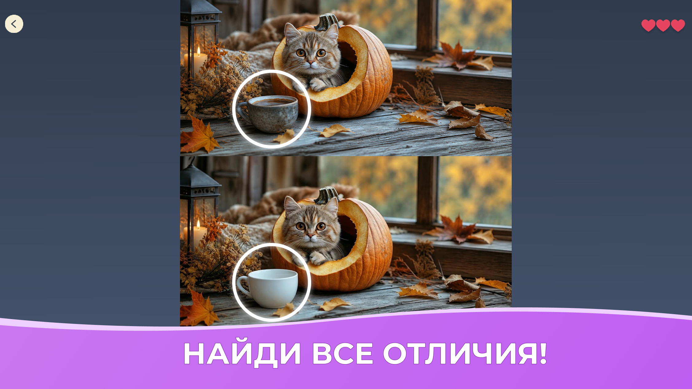 Уютные коты: найди 10 отличий — screenshot 1