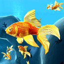 Ocean 3D: Goldfish