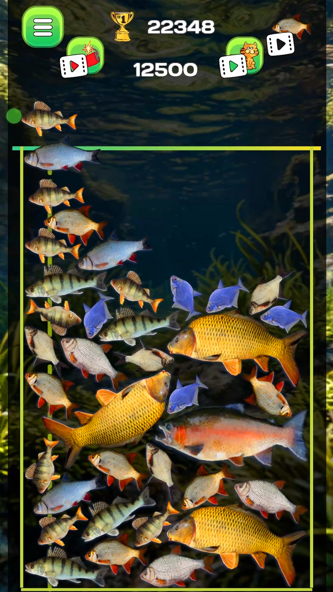 Connect the fish - Reach the Pike screenshot 5