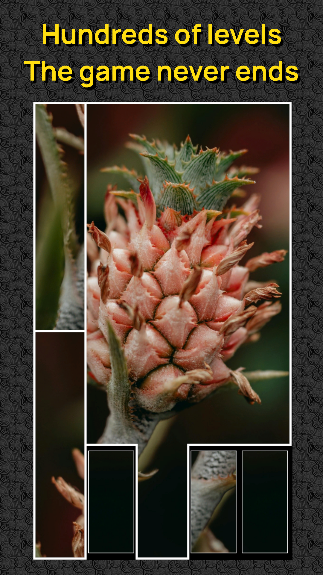 Assemble the Picture: Puzzle screenshot 5