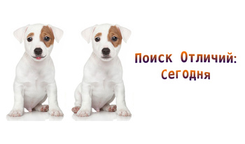 Поиск Отличий: Сегодня