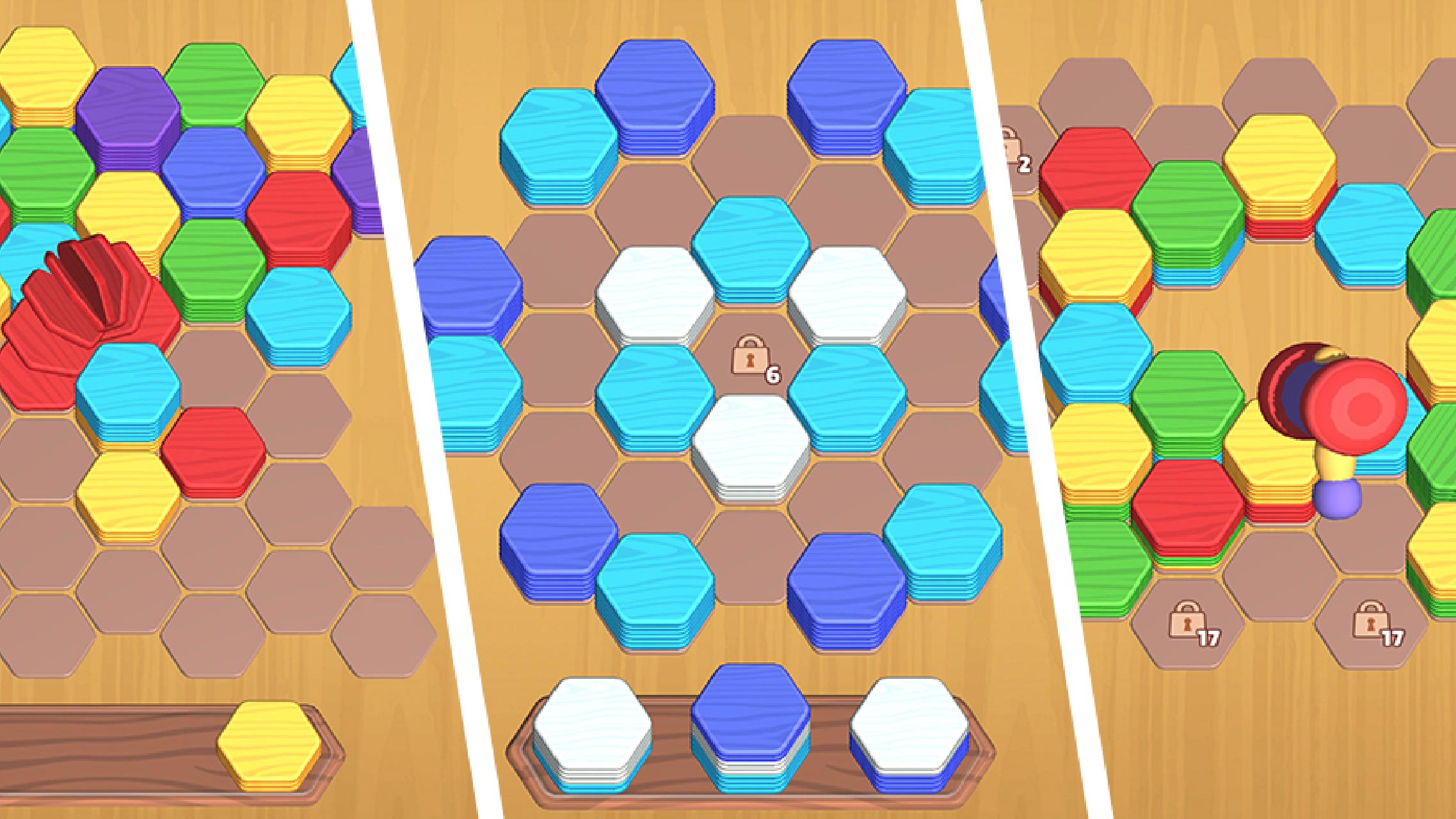 Hexa Master 3D: Sort Puzzle screenshot