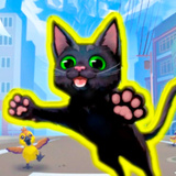 Obby, but you cat